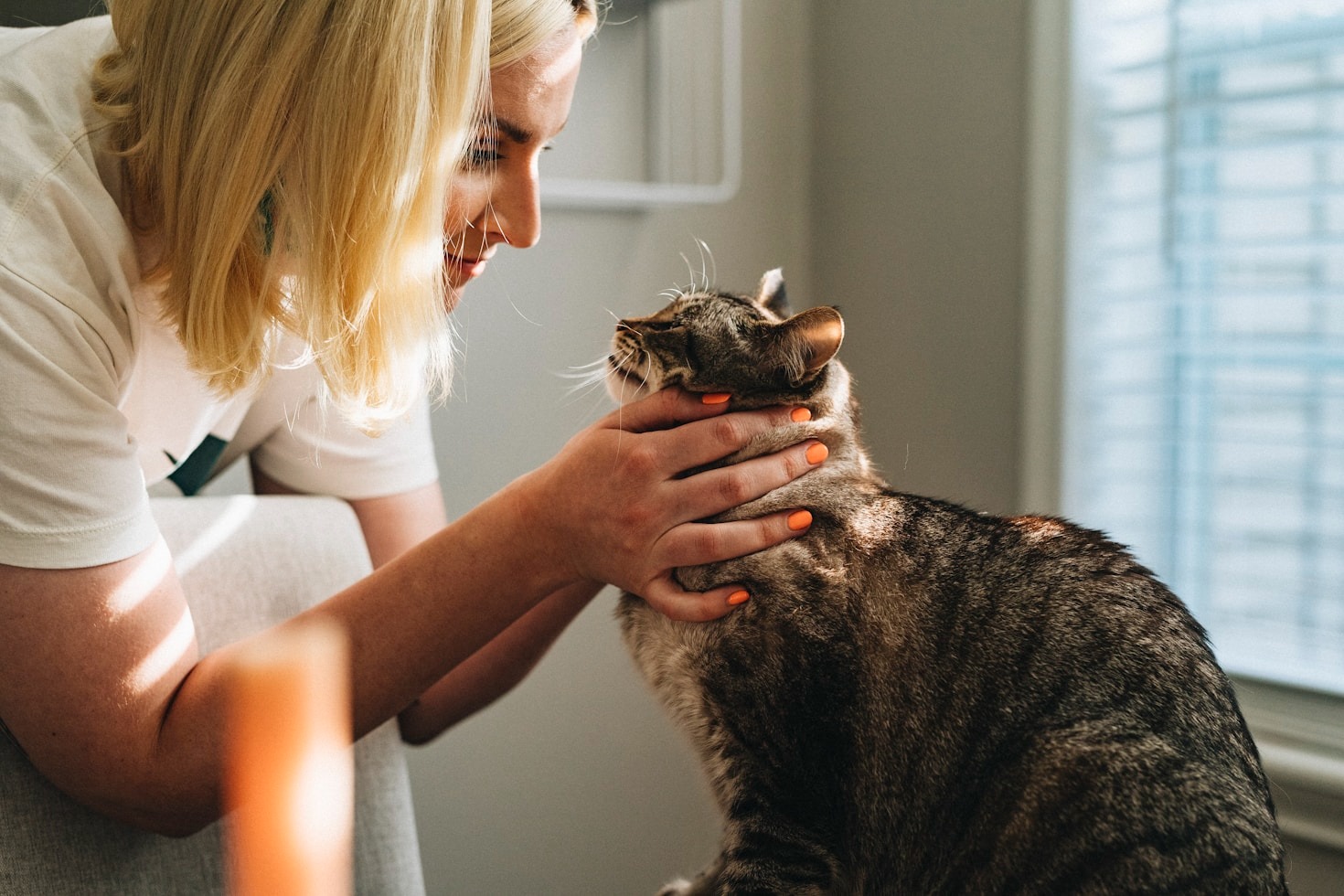 Vacinas essenciais para o bem-estar dos animais